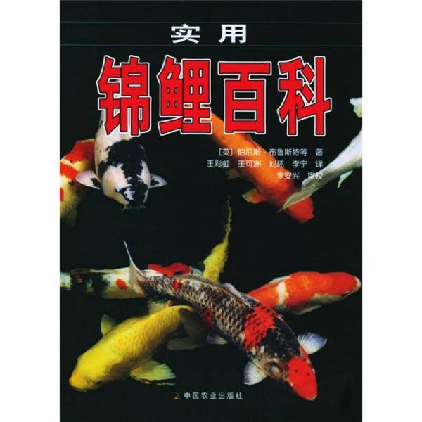 实用锦鲤百科