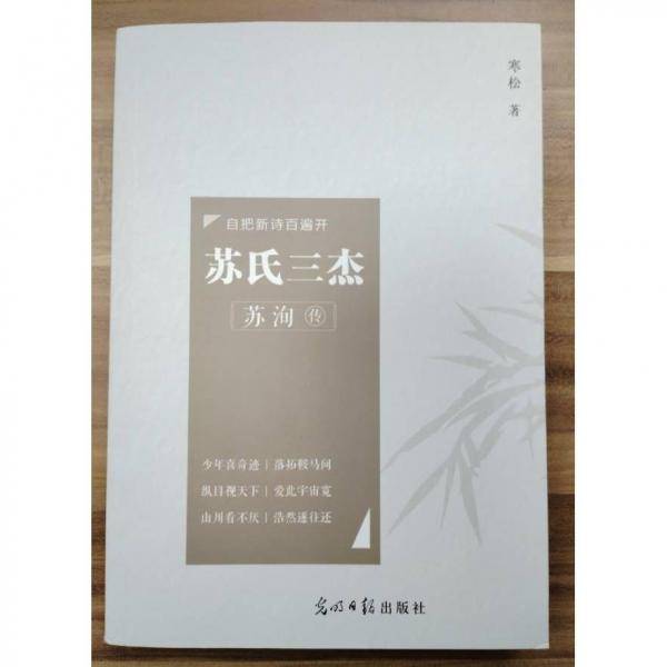 肩舟载酒扬轻风：苏辙传