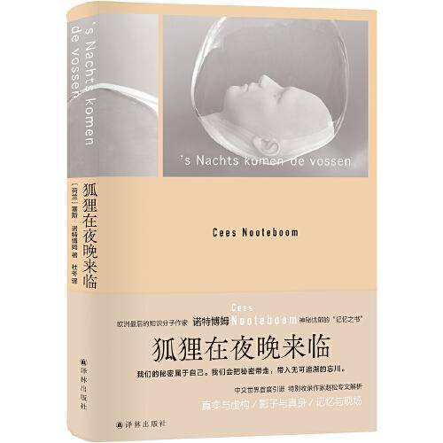 狐狸在夜晚来临