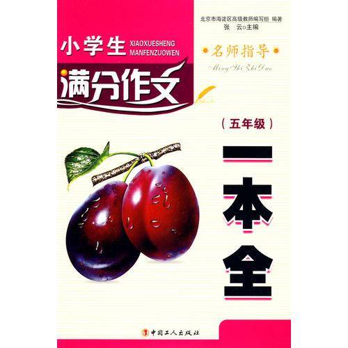小学生满分作文一本全
