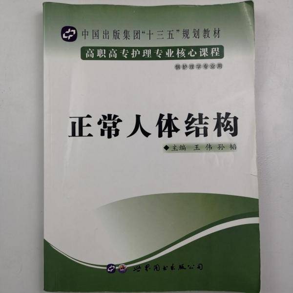 正常人体结构