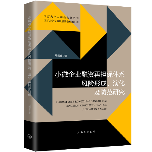 小微企业融资再担保体系风险形成、演化及防范研究