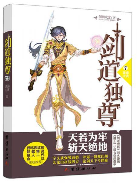 剑道独尊7