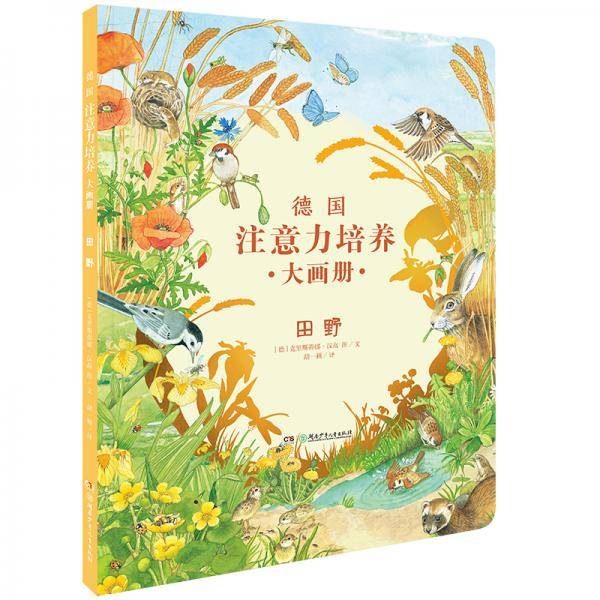德国注意力培养大画册（全6册）