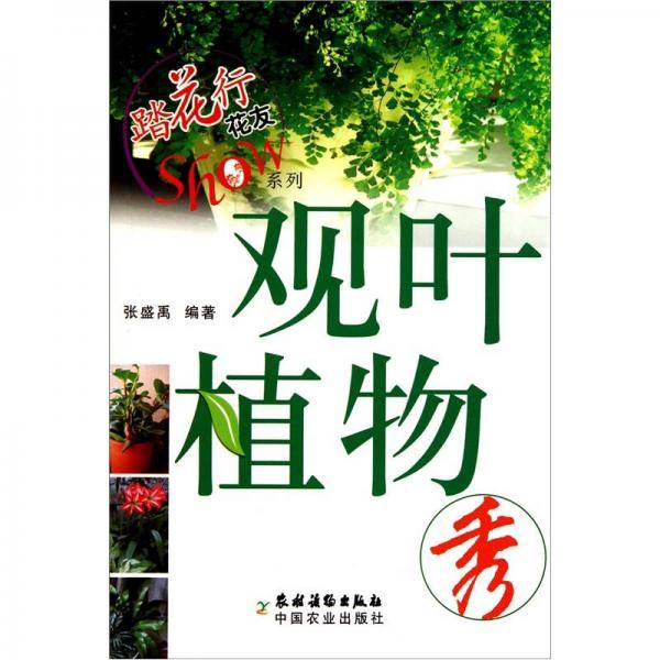 观叶植物秀
