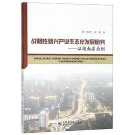 战略性新兴产业生态化发展研究--以湖南省为例