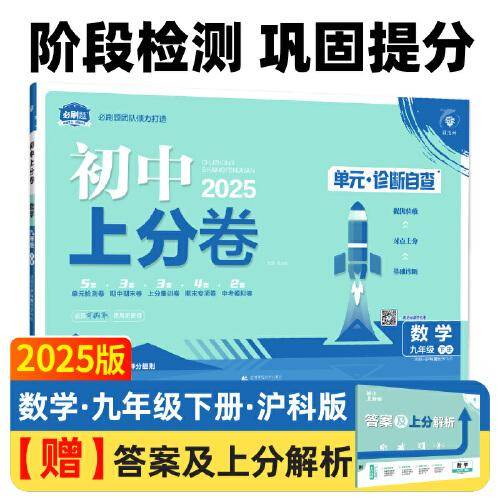 2025版理想树初中上分卷 九年级下册
