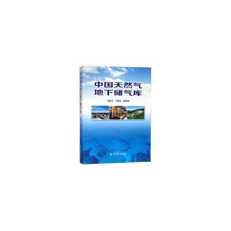 中国天然气地下储气库