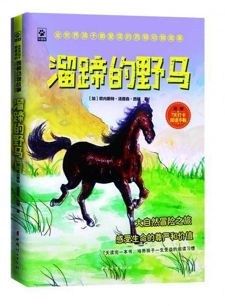 溜蹄的野马