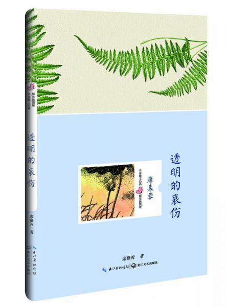 透明的哀伤