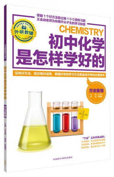 王金战系列图书:初中化学是怎样学好的-方法集锦