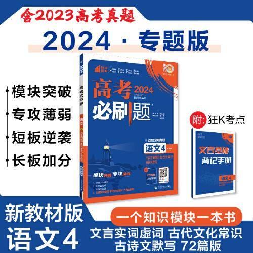 2024年理想树高考必刷题 专题突破 语文4 新教材版