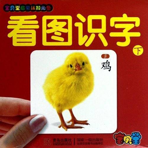 看图识字（下）