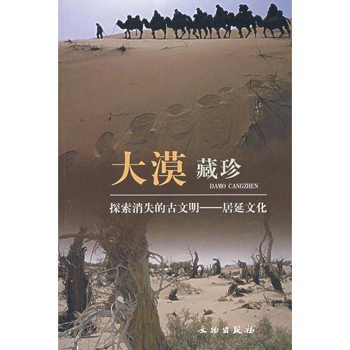 大漠藏珍