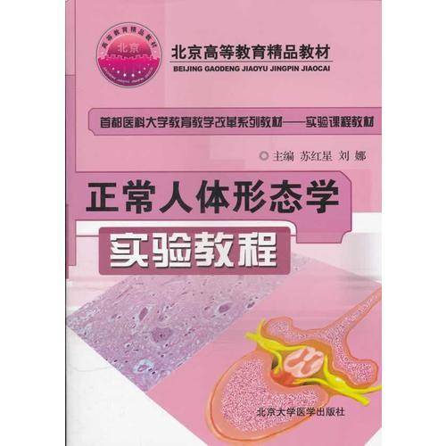 正常人体形态学实验教程