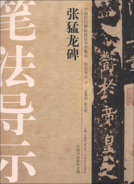 张猛龙碑-中国历代碑帖技法导学集成.笔法导示-15