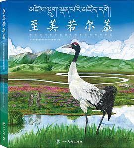 至美若尔盖