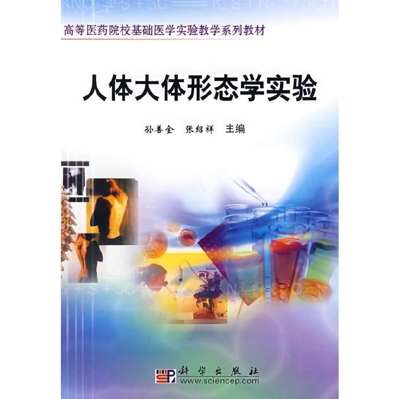 人体大体形态学实验