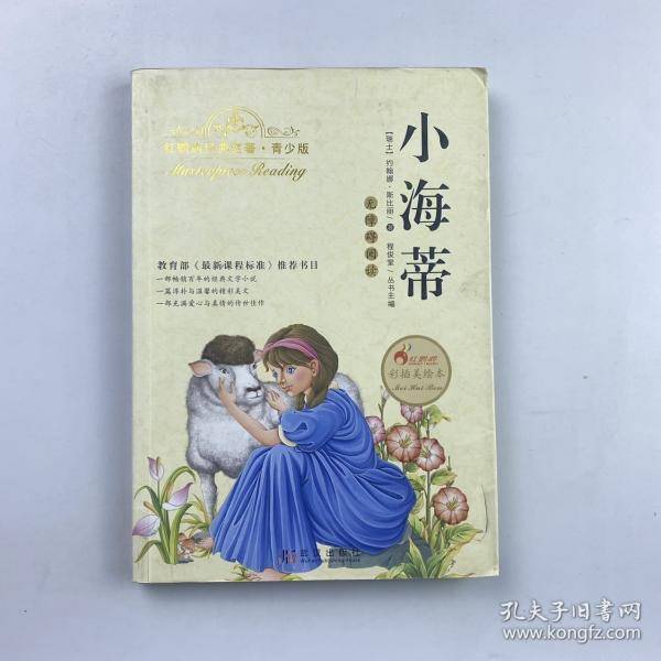 红鹦鹉小海蒂瑞士 约翰娜