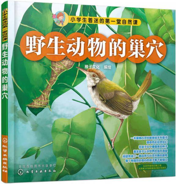 野生动物的巢穴