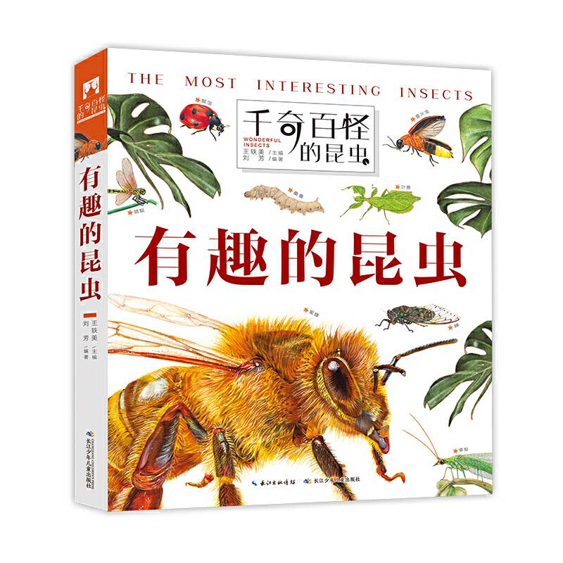 千奇百怪的昆虫·有趣的昆虫 昆虫百科翻翻书“翻”阅生命奥秘