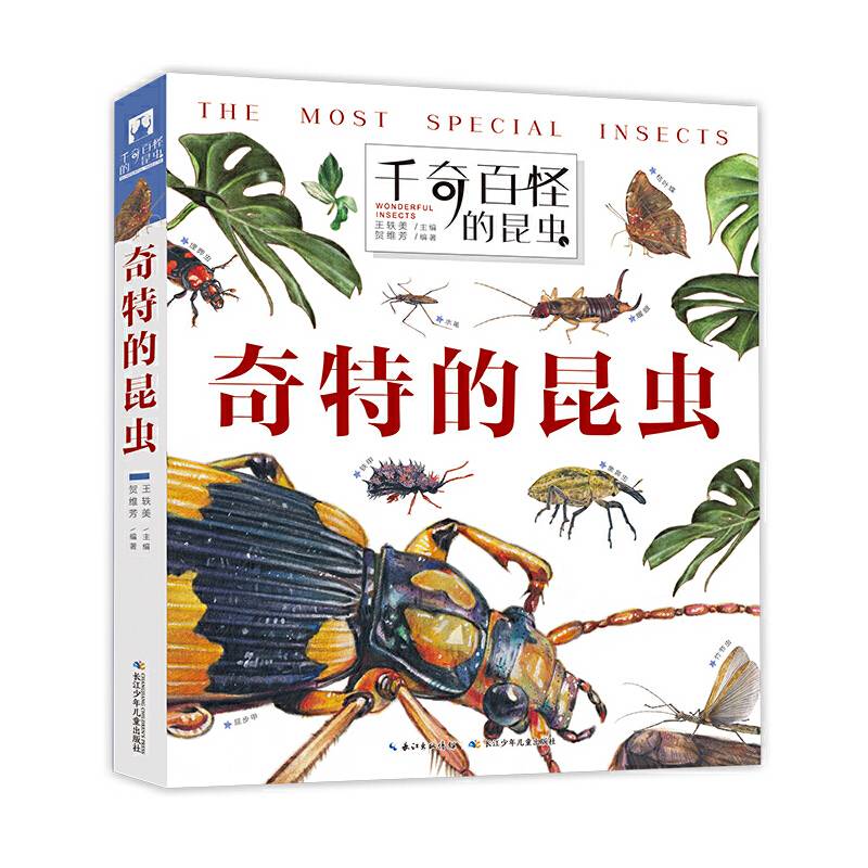 千奇百怪的昆虫·奇特的昆虫昆虫百科翻翻书“翻”阅生命奥秘