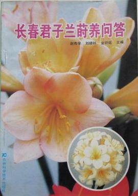 长春君子兰莳养问答