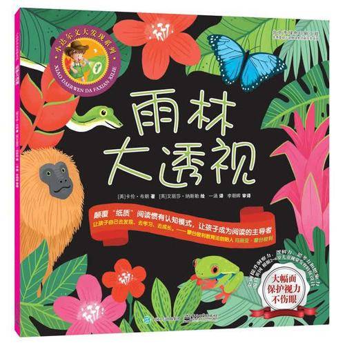 雨林大透视