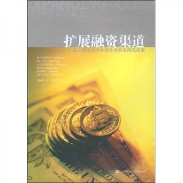 扩展融资渠道