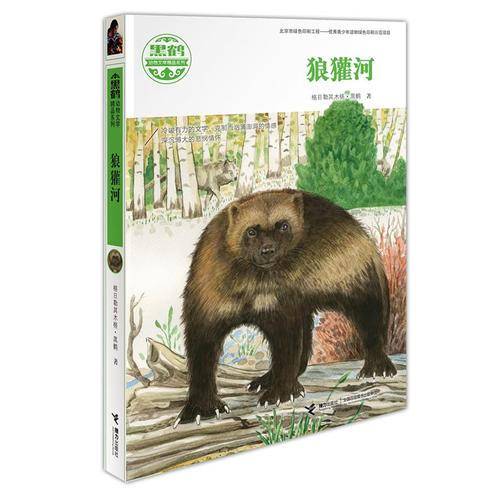 黑鹤自然之歌系列  猎獾犬