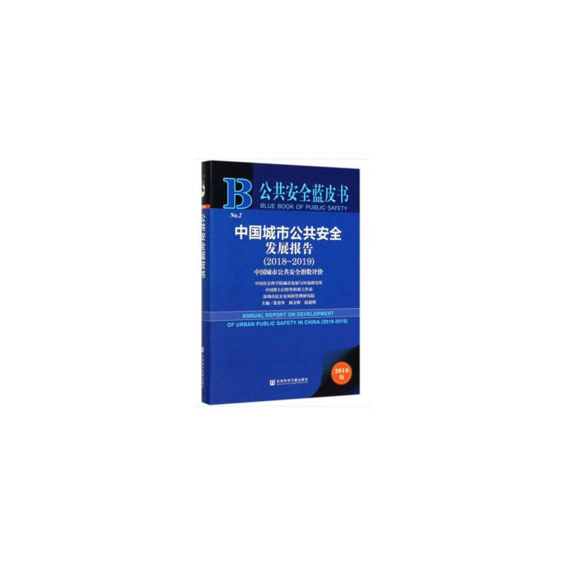 公共安全蓝皮书：中国城市公共安全发展报告2018～2019