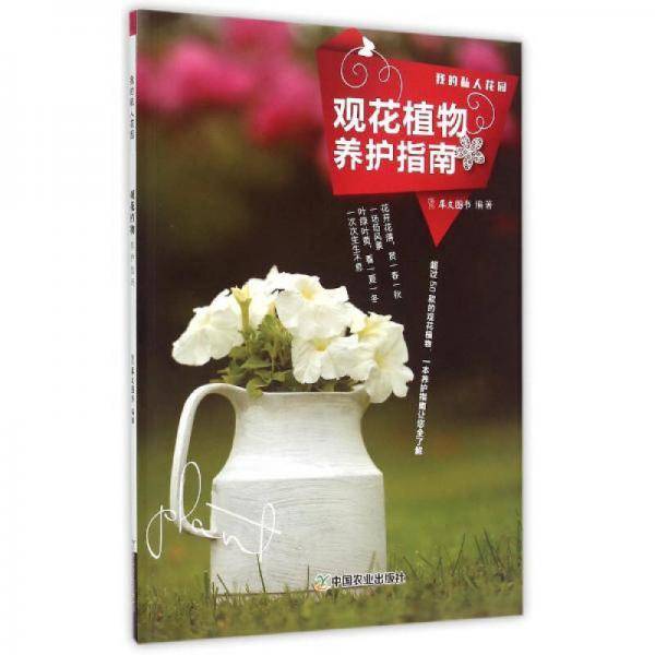 观花植物养护指南