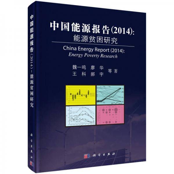 中国能源报告（2014）：能源贫困研究