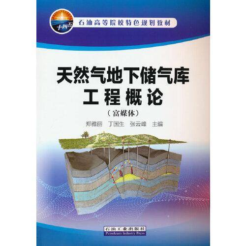 天然气地下储气库工程概论（富媒体）