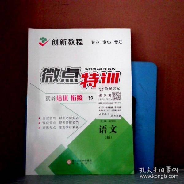 创新教程 微点特训
