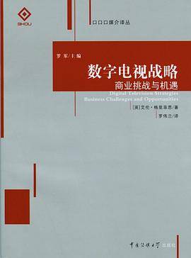 数字电视战略