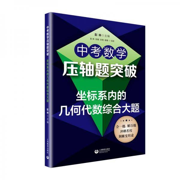中考数学压轴题突破——坐标系内的几何代数综合大题