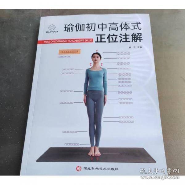 瑜伽初中高体式正位注解