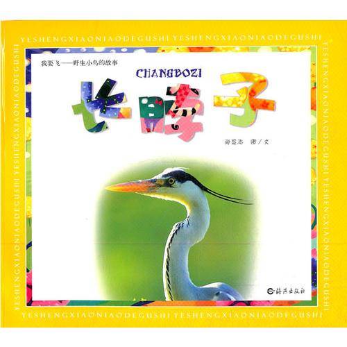 我要飞