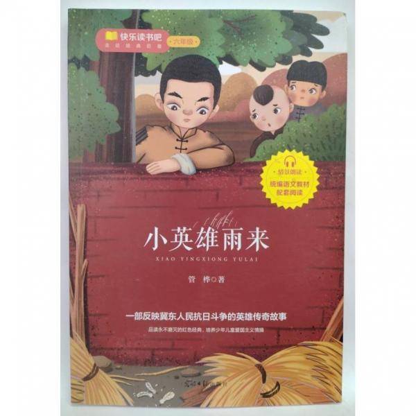 小英雄雨来