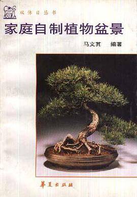 家庭自制植物盆景
