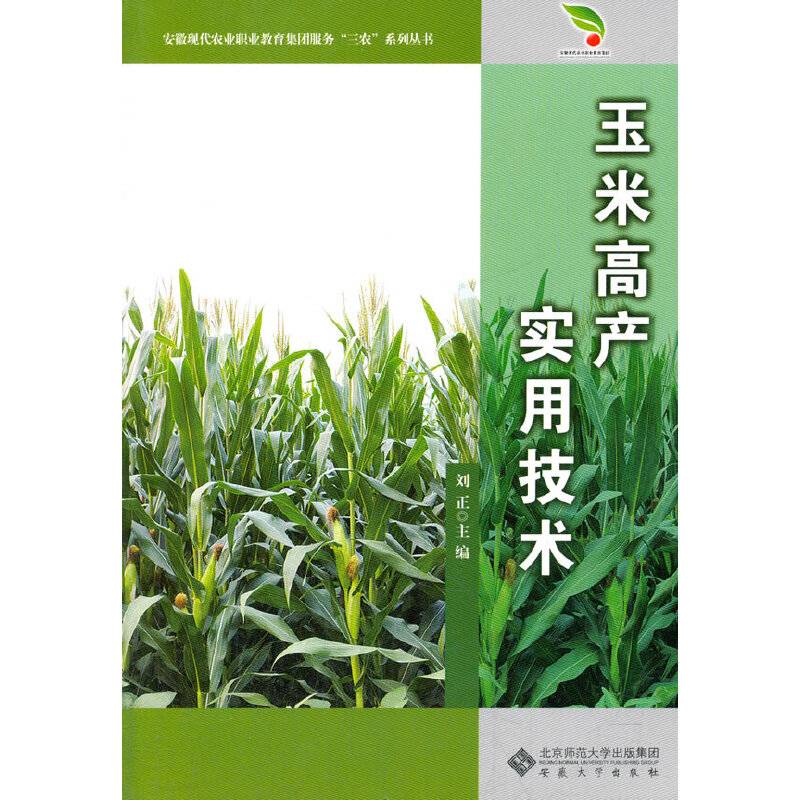 安徽现代农业职业教育集团服务“三农”系列丛书：玉米高产实用技术