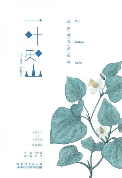 一叶知山