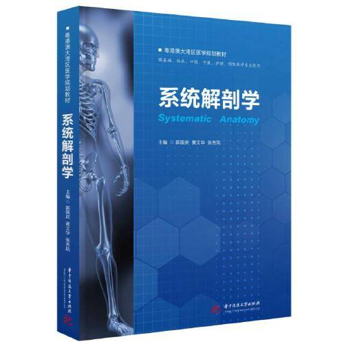 系统解剖学