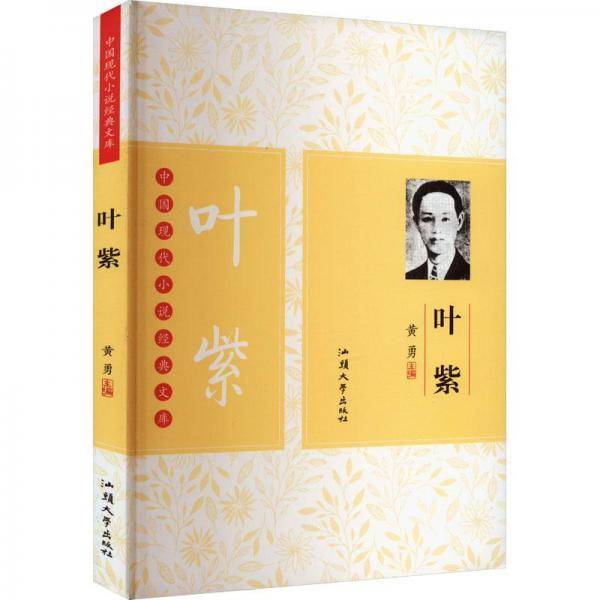 中国现代小说经典文库