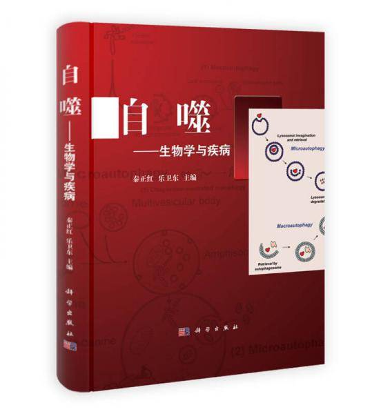 自噬