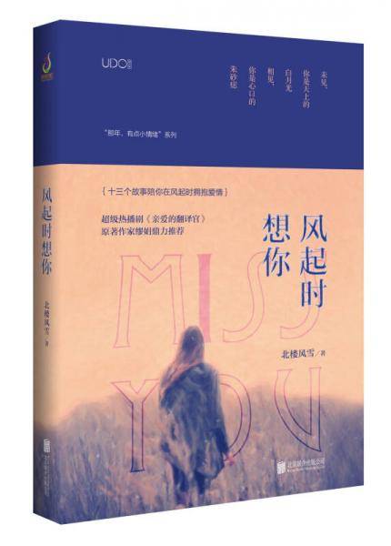 风起时想你