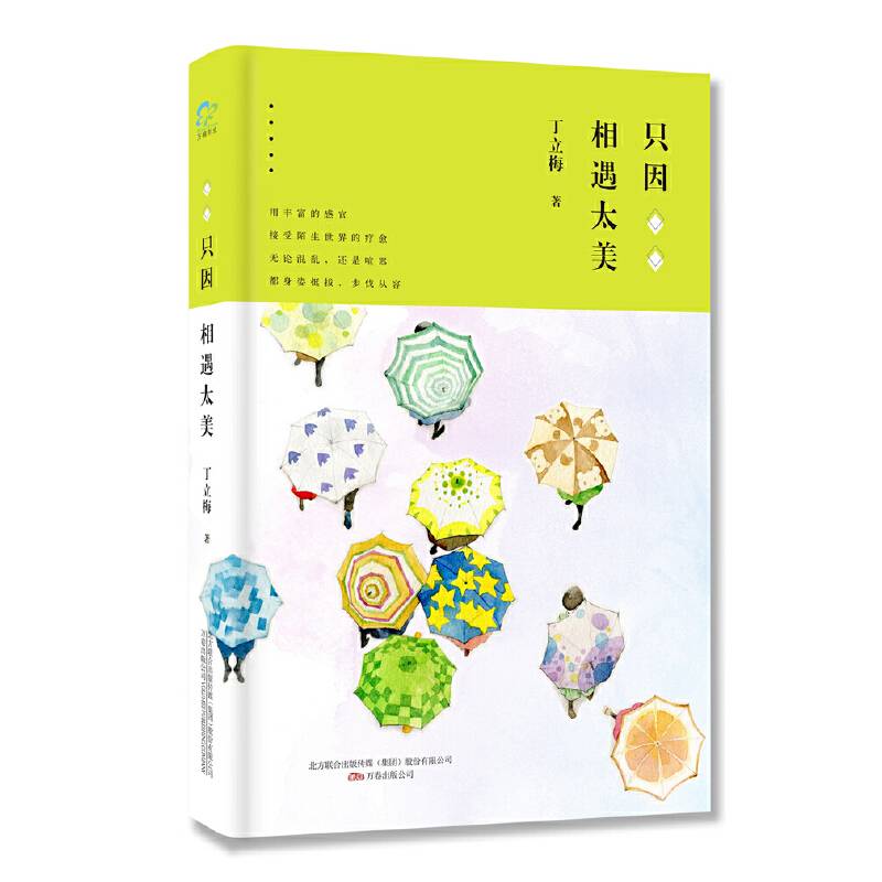 只因相遇太美