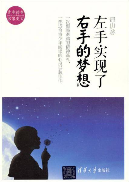 左手实现了右手的梦想