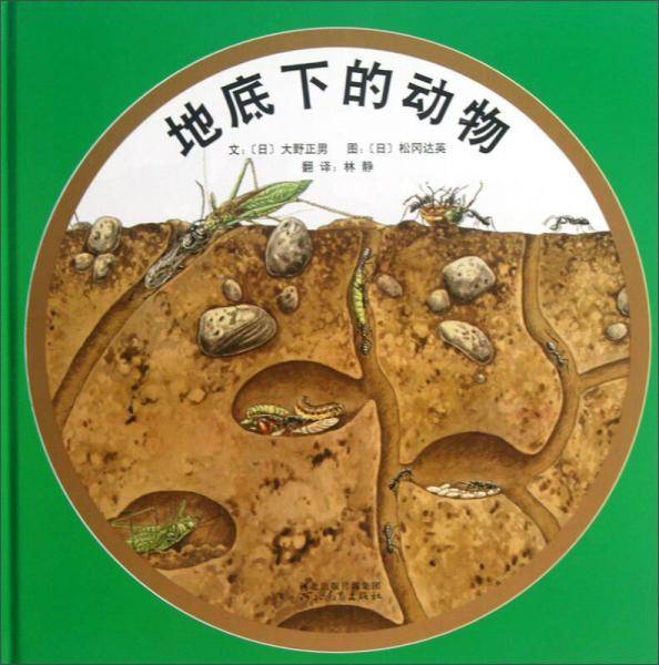 地底下的动物